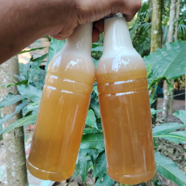 লিচু ফুলের মধু (Litchi flower honey)